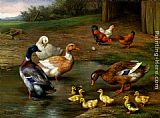 Edgar Hunt Chickens, Ducks and Ducklings Paddling painting